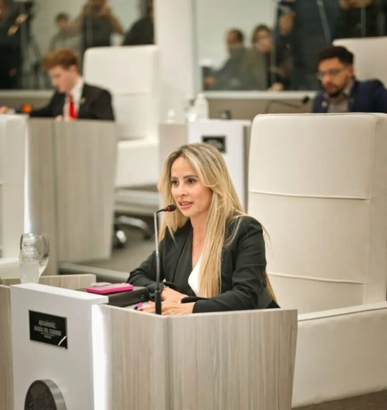 EL CONCEJO DELIBERANTE AVANZA CON PROYECTOS ORIENTADOS A LOS BARRIOS