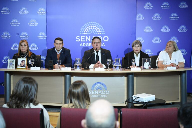 PRESENTARON EN EL SENADO EL PROYECTO DE INTERVENCIÓN FEDERAL DE LA PROVINCIA DE FORMOSA